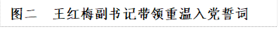 图二  王红梅副书记带领重温入党誓词